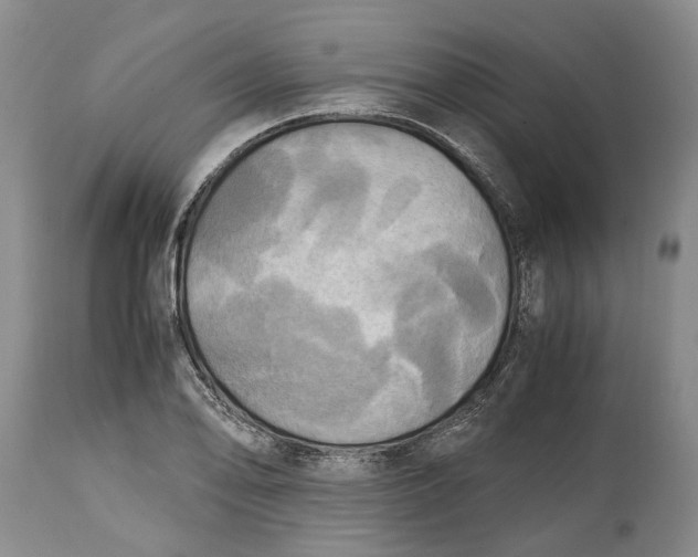 X0000114561078200911091213