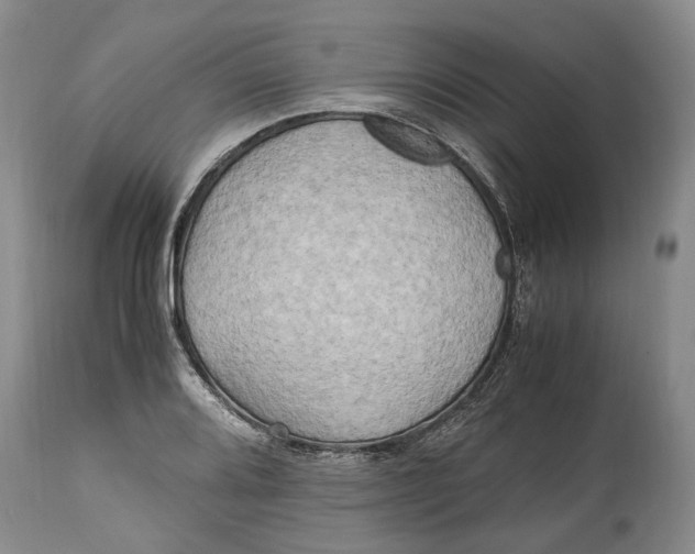 X0000114561080200911091213
