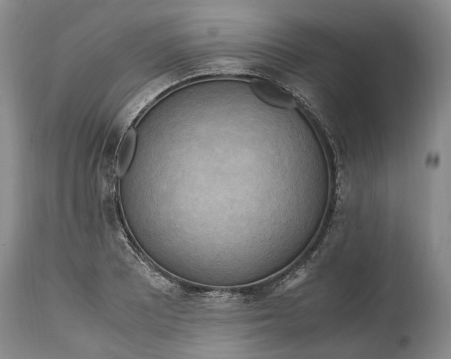 X0000114561081200911091213