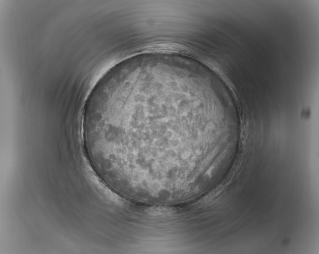X0000114561083200911091213