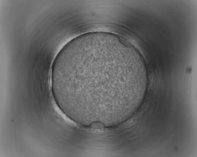 X0000114561084200911091213