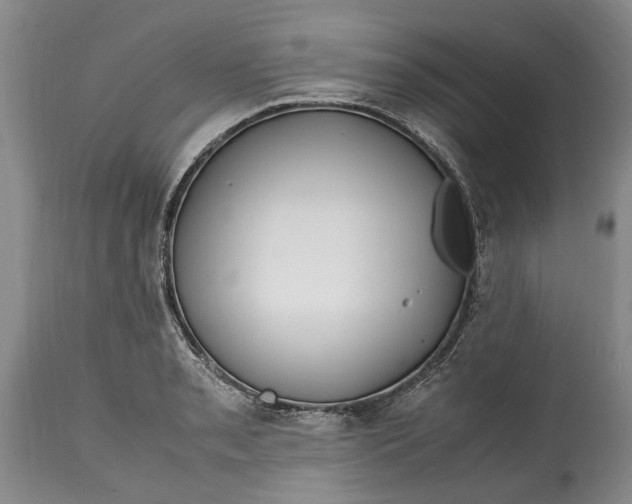 X0000114561085200911091213
