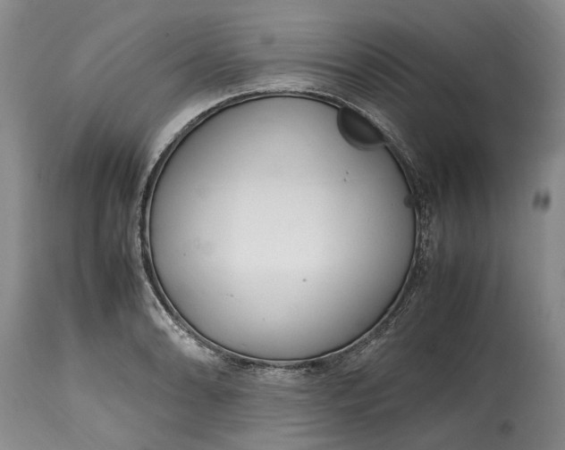 X0000114561086200911091213