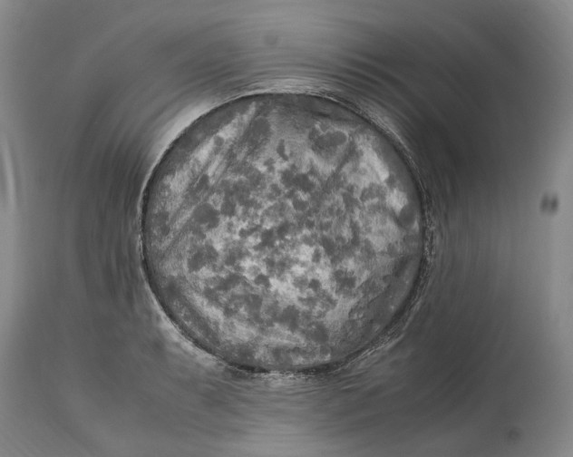 X0000114561087200911091213
