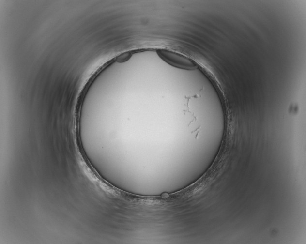 X0000114561088200911091213