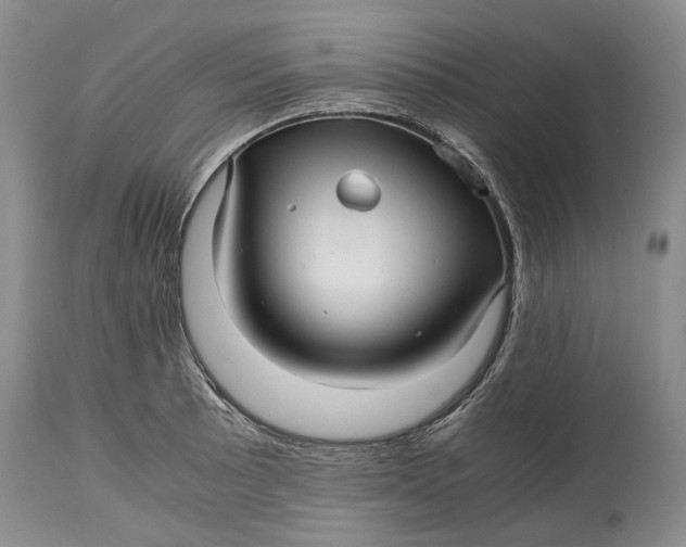 X0000114561089200911091213