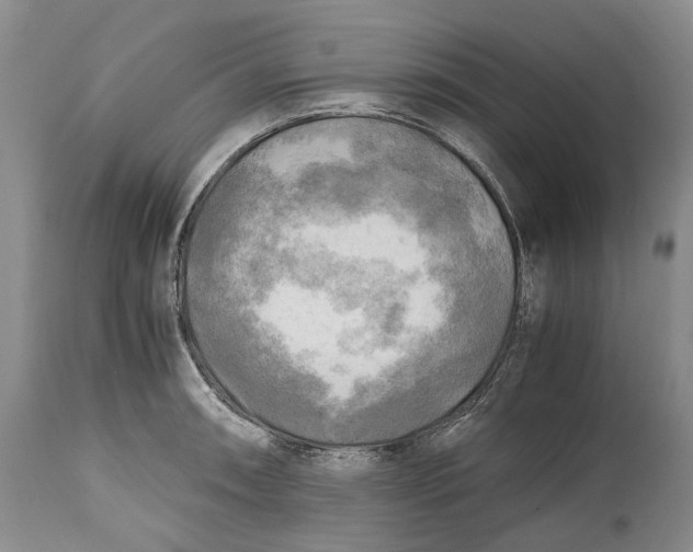 X0000114561090200911091213