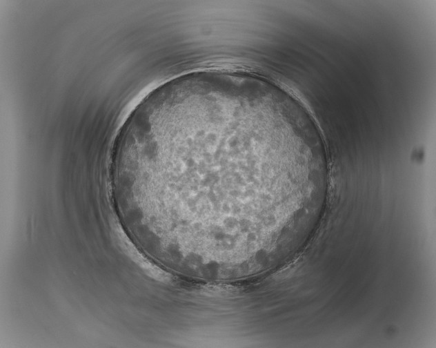 X0000114561091200911091213
