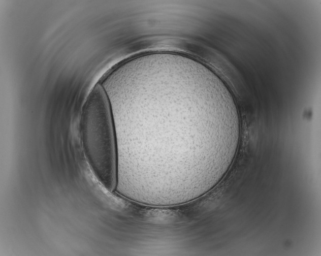 X0000114561092200911091213
