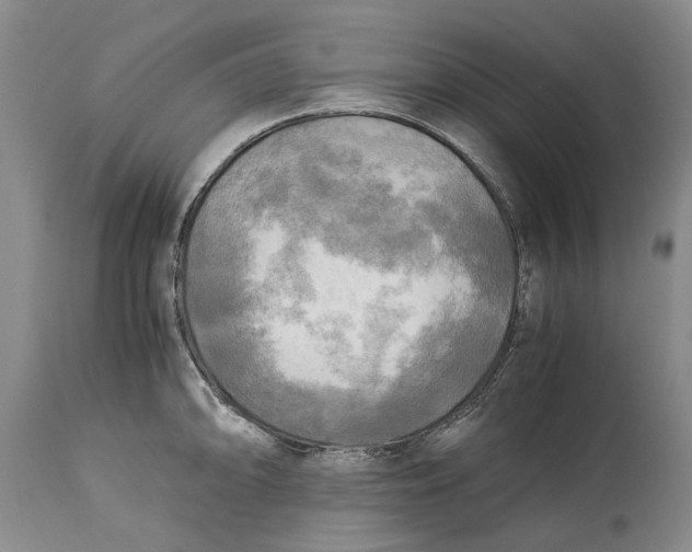 X0000114561094200911091213