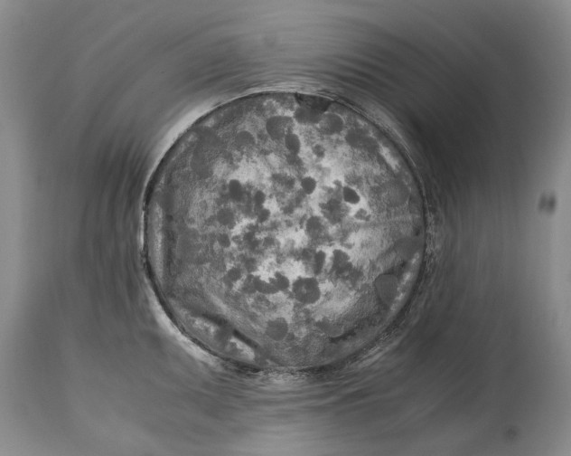 X0000114561095200911091213