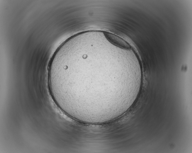 X0000114561096200911091213