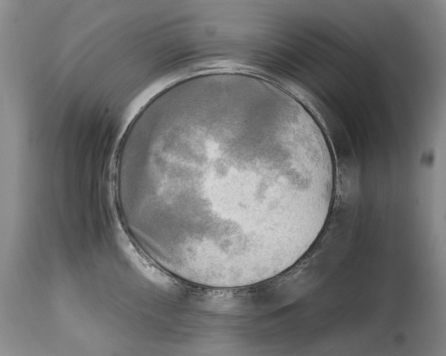 X0000114561098200911091213
