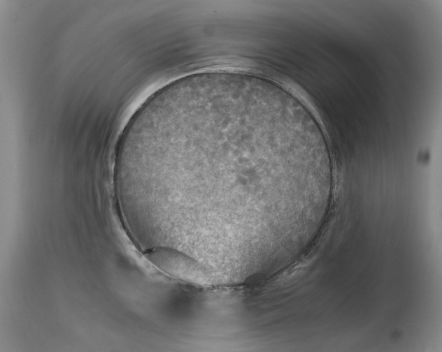 X0000114561099200911091213