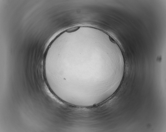 X0000114561100200911091212