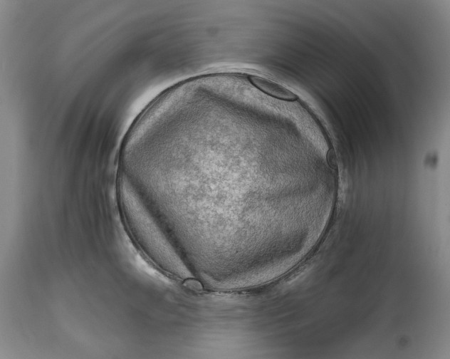 X0000114561102200911091212