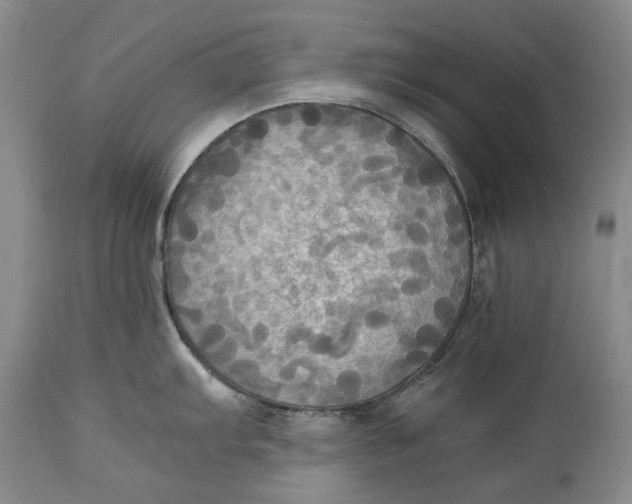 X0000114561103200911091212