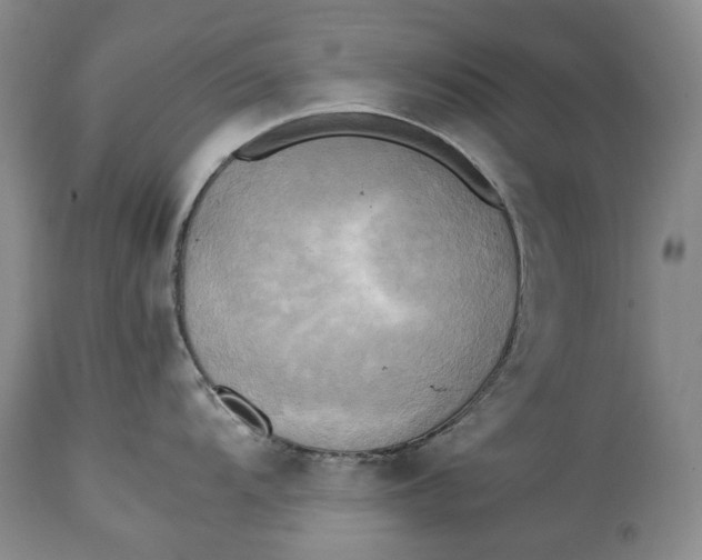 X0000114561104200911091212