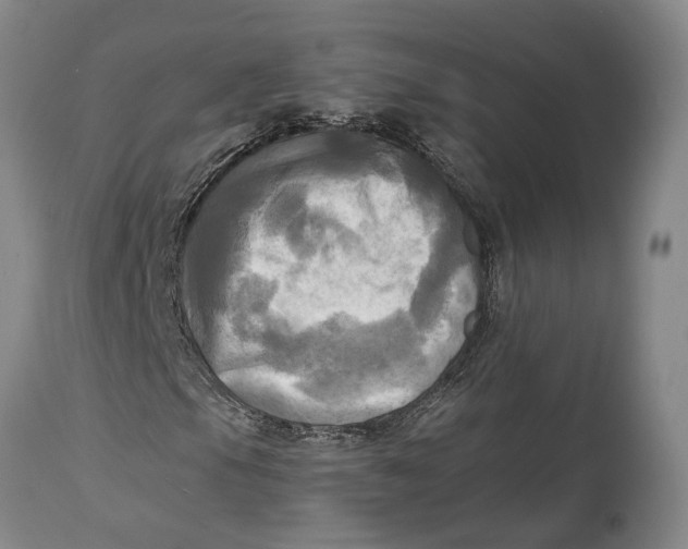 X0000114561105200911091212