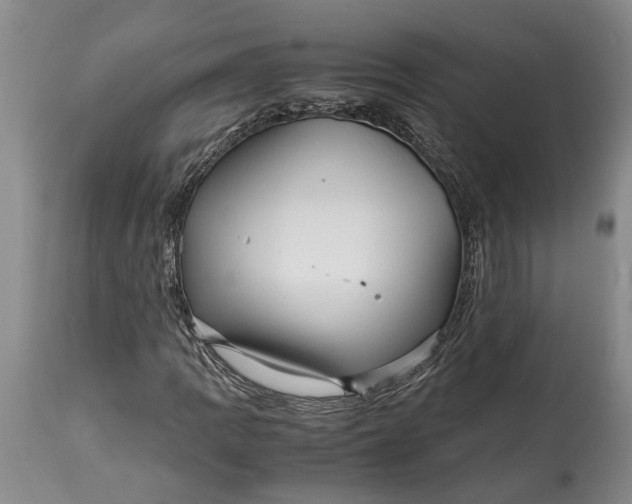 X0000114561109200911091212