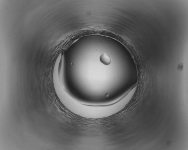 X0000114561110200911091212