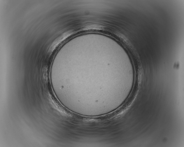 X0000114561113200911091212