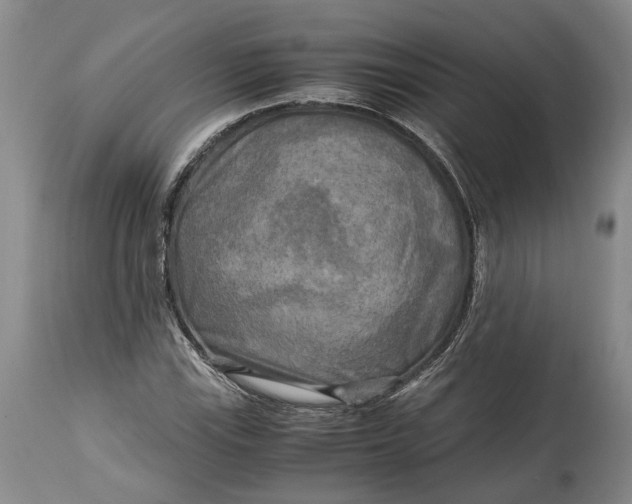 X0000114561115200911091212
