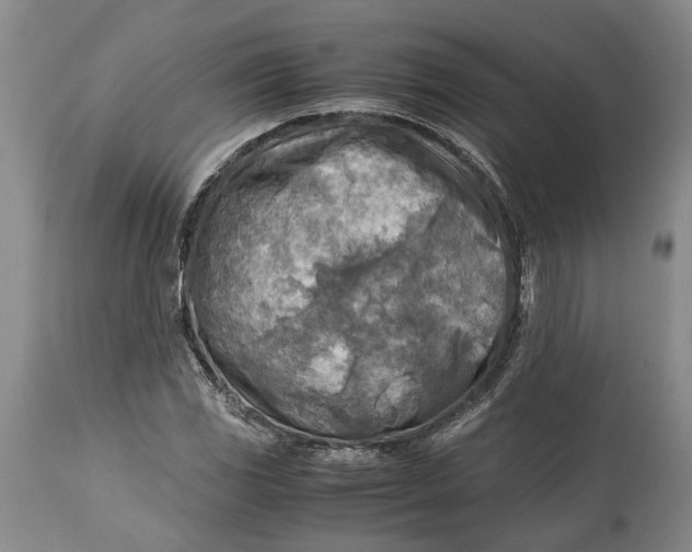 X0000114561117200911091212