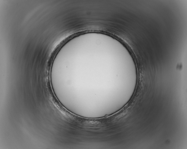 X0000114561119200911091212