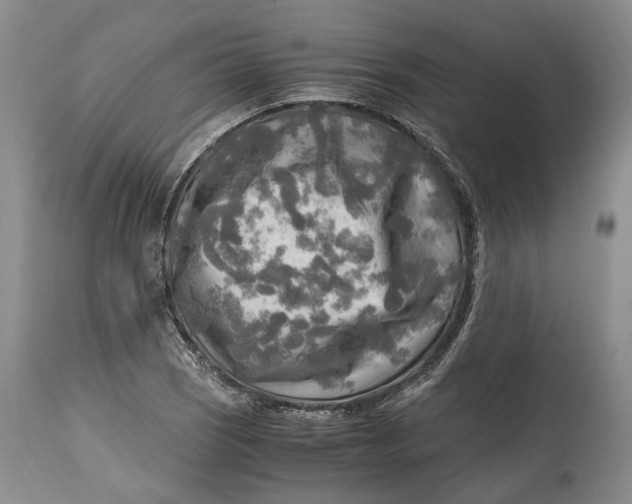 X0000114561121200911091212