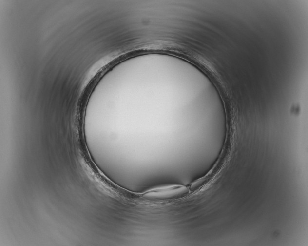 X0000114561122200911091212