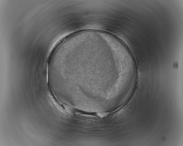 X0000114561123200911091212