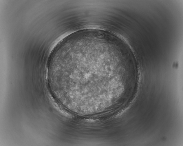 X0000114561125200911091212