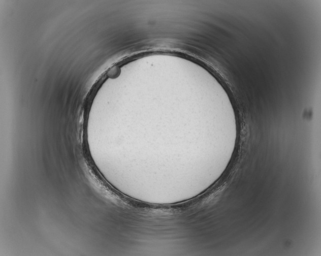 X0000114561126200911091212