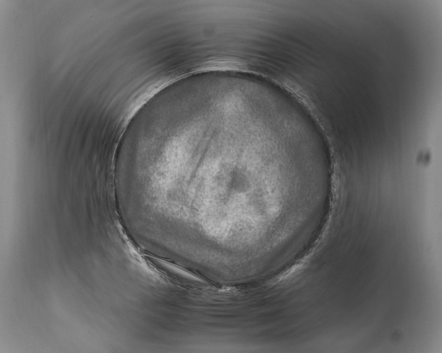 X0000114561129200911091212