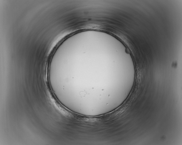 X0000114561131200911091212
