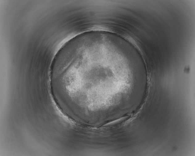 X0000114561133200911091212