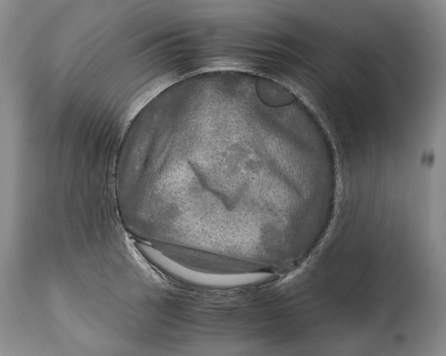 X0000114561137200911091212
