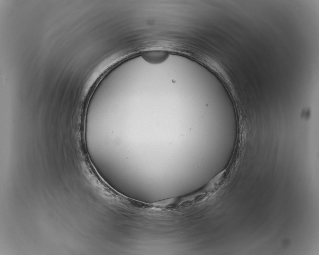 X0000114561138200911091212