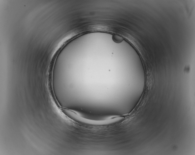 X0000114561139200911091212