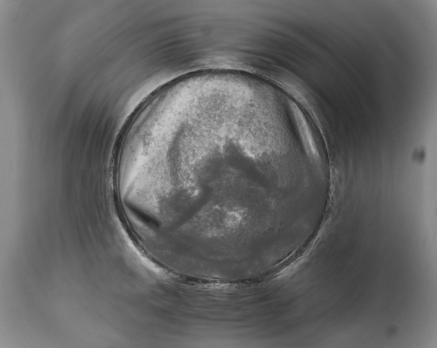 X0000114561141200911091212