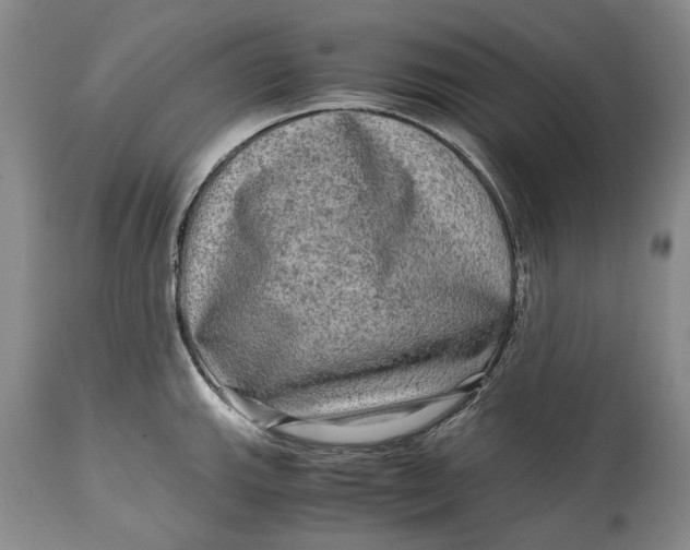 X0000114561143200911091212