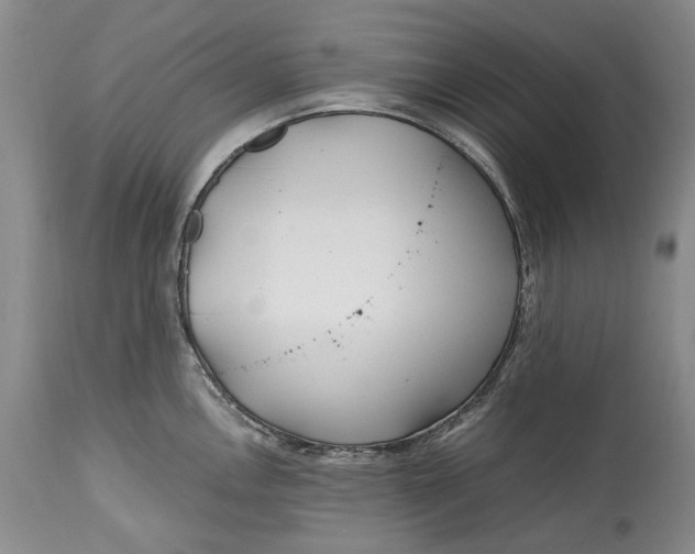 X0000114561146200911091212