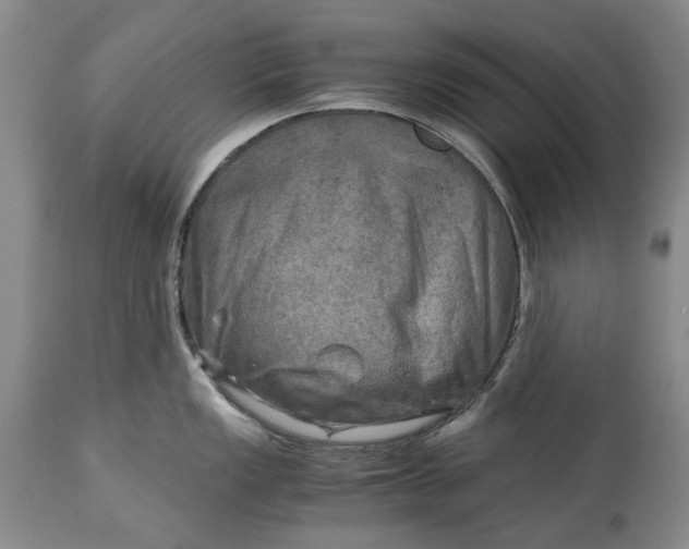 X0000114561149200911091212