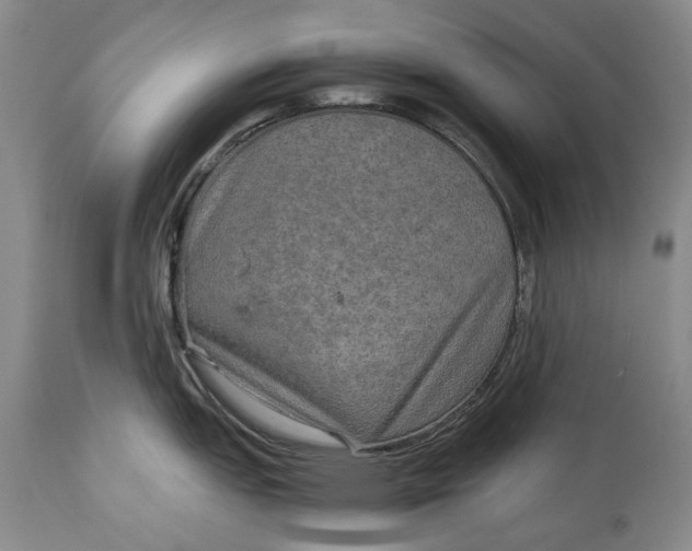X0000114561151200911091212