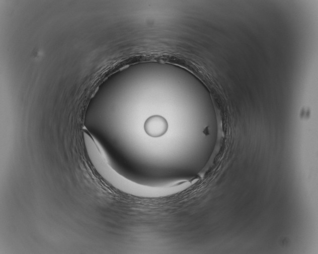 X0000114561153200911091212