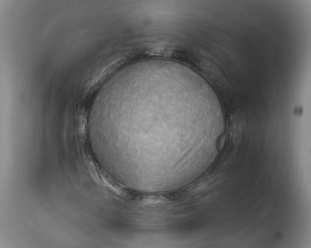 X0000114561154200911091212