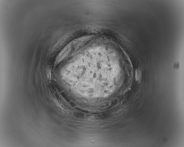 X0000114561155200911091212