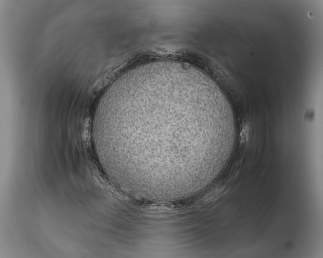 X0000114561156200911091212