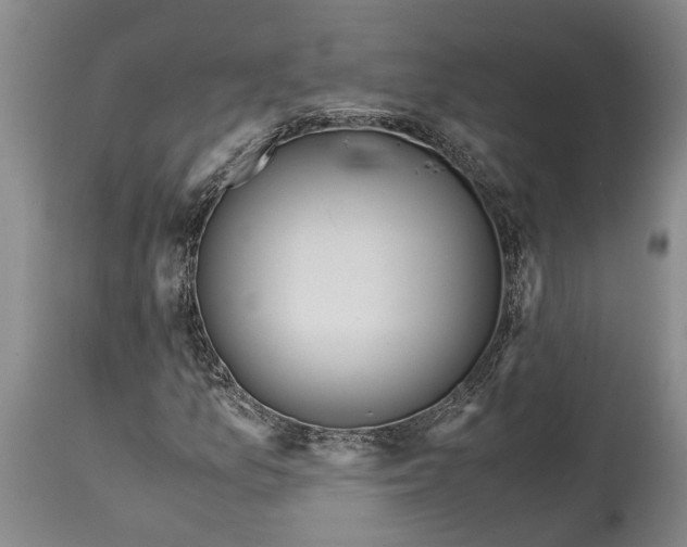 X0000114561157200911091212